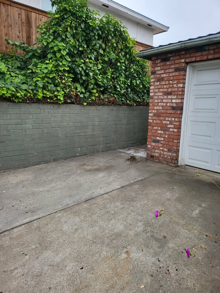Clean swept driveway in San Diego after a junk removal job by Junk N Haul